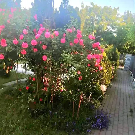 Summer House Gdansk-sobieszewo * Sobieszewska Pastwa