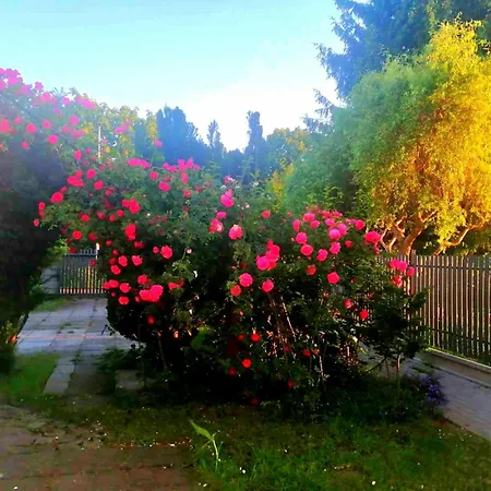 度假居 Summer House Gdansk-sobieszewo