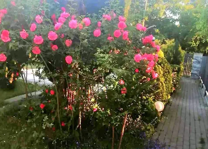 Summer House Gdansk-sobieszewo * Sobieszewska Pastwa