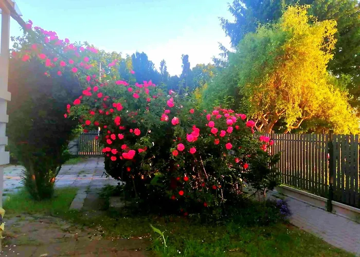 Feriehus Summer House Gdansk-sobieszewo